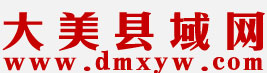 大美县域网logo
