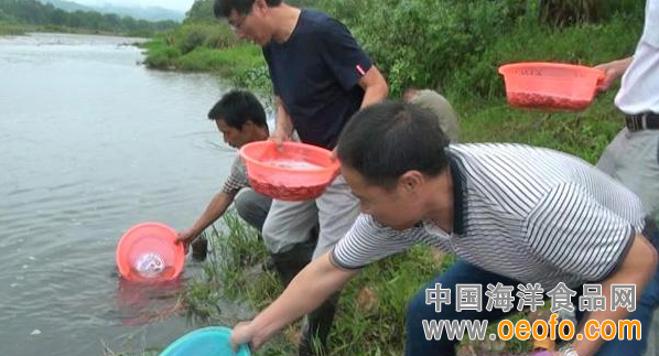 渔业资源增殖放流